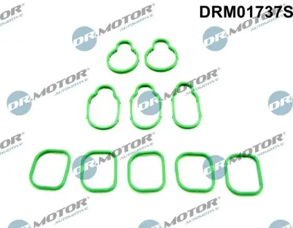 Комплект прокладок впускного колектора DR.MOTOR DRM01737S Купити в Україні