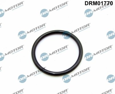 Кольцо резиновое DR.MOTOR DRM01770 (фото 1)