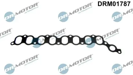 Прокладка колектора впускного Toyota Avensis 2.0D 99-08 DR.MOTOR DRM01787 Купити в Україні