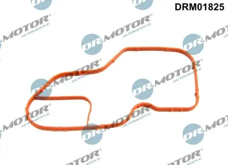 Прокладка термостату DR.MOTOR DRM01825 Купити в Україні