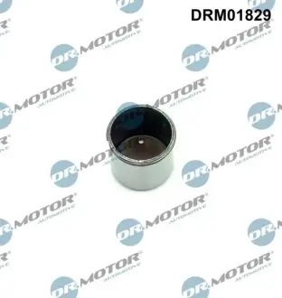Автозапчасть DR.MOTOR DRM01829 Купить в Украине
