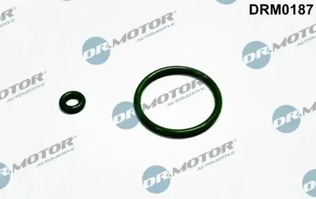 Ремкомплект форсунки 2 елементи DR.MOTOR DRM0187 Купити в Україні