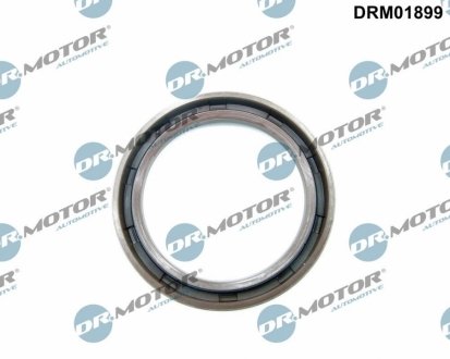 Автозапчасть DR.MOTOR DRM01899