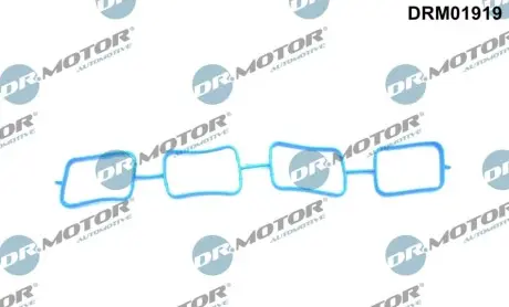 Прокладка колектора впускного Lexus NX/Toyota Rav4 2.5/2.5H 11 DR.MOTOR DRM01919 Купити в Україні