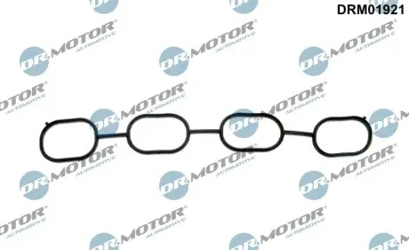 Прокладка колектора впускного Toyota RAV 4 1.8i 00-05 DR.MOTOR DRM01921 Купити в Україні