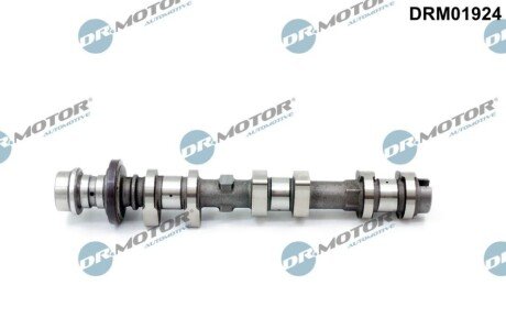 WAEK ROZRZDU FORD 1.0EB 12- WYLOT DR.MOTOR DRM01924 (фото 1)