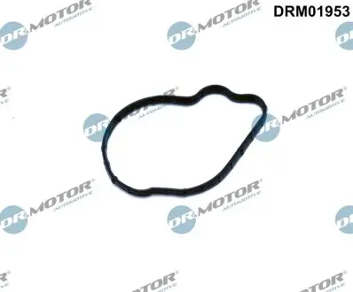Автозапчасть DR.MOTOR DRM01953