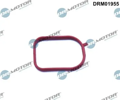 Прокладка двигуна гумова DR.MOTOR DRM01955 Купити в Україні