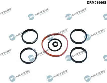 Комплект прокладок впускного колектора DR.MOTOR DRM01966S Купити в Україні