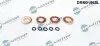 Ремкомплект форсунки Citroen Jumpy/Peugeot Expert 2.0 HDi 09 DR.MOTOR (DRM0196SL) зображення 1