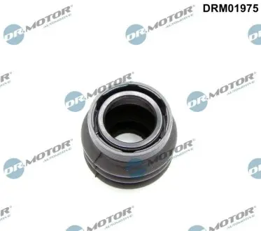 Сальник штока куліс Ford Fiesta/Focus 98-12 DR.MOTOR DRM01975 Купити в Україні