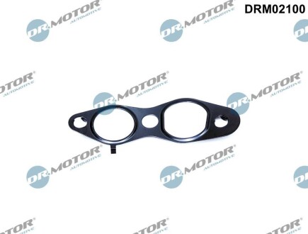 USZCZELKA ZAWORU EGR FIAT SCUDO 2.0D 10- DR.MOTOR DRM02100