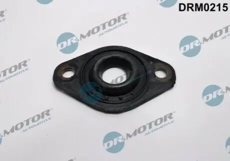 Сальник форсунки Opel Combo 1.7CDTI 01 DR.MOTOR DRM0215 Купити в Україні