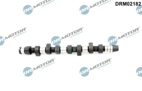 Розподільний вал VW Caddy II/Golf IV 1.9 TDI 96-06 DR.MOTOR DRM02182 Купити в Україні