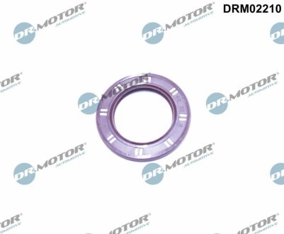 Автозапчастина DR.MOTOR DRM02210 (фото 1)