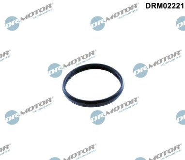 Ущiльнююче кiльце DR.MOTOR DRM02221 (фото 1)