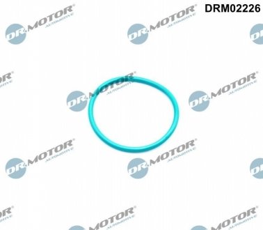 Кольцо резиновое DR.MOTOR DRM02226