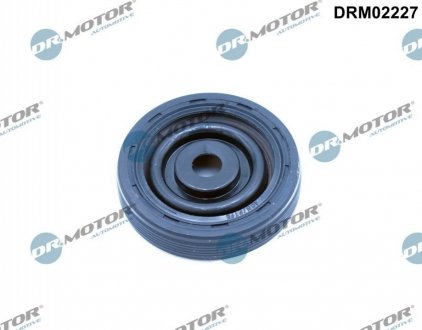 Автозапчастина DR.MOTOR DRM02227 (фото 1)