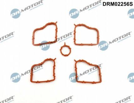 Комплект гумових прокладок. DR.MOTOR DRM02256S (фото 1)