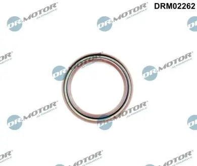 Сальник колінчастого валу (передній) Mazda 3/6/CX-3/CX-5/CX8 11- (43x55.5x6) DR.MOTOR DRM02262 Купити в Україні