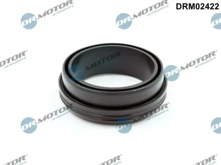 Ущiльнююче кiльце DR.MOTOR DRM02422 Купити в Україні