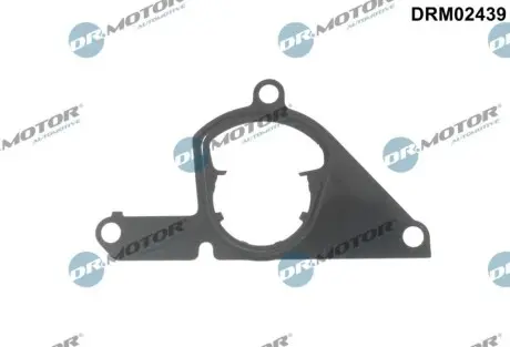 Ремкомплект супорта DR.MOTOR DRM02439 Купити в Україні