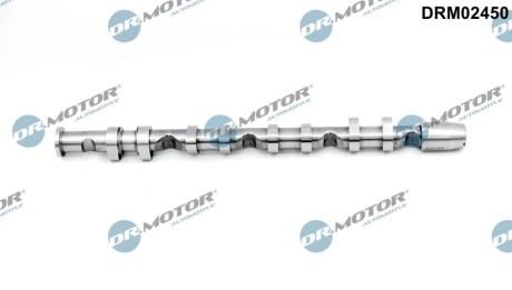 Автозапчасть DR.MOTOR DRM02450