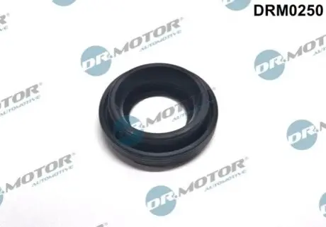 Фото Кольцо резиновое DR.MOTOR (DRM0250) изображение 1