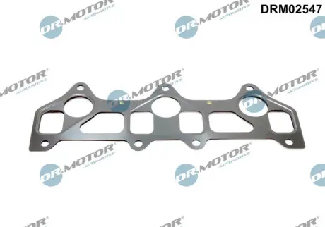 Прокладка впускного колектора DR.MOTOR DRM02547
