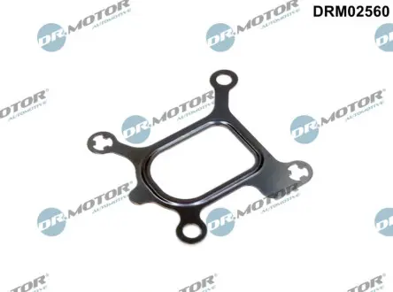 Прокладка термостата DR.MOTOR DRM02560