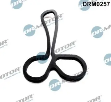 Прокладка радіатора масляного Ford Transit 2.4D/TD 00-06 DR.MOTOR DRM0257 Купити в Україні