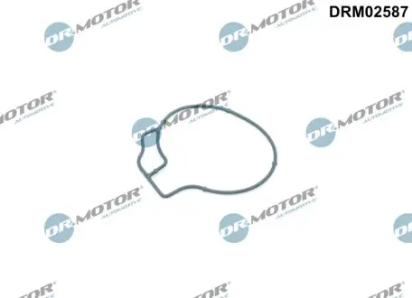 Прокладка вакуумної помпи DR.MOTOR DRM02587