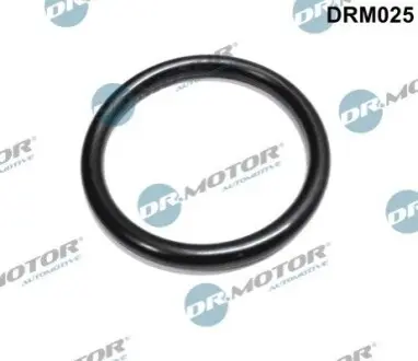 Прокладка колектора впускного Renault Kangoo/Laguna II/Trafic 1.4-2.0 01 DR.MOTOR DRM025 Купити в Україні