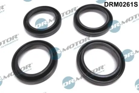 Ущільнюючі кільця DR.MOTOR DRM0261S Купити в Україні