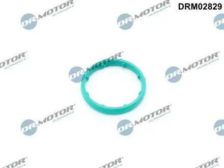 Прокладка масляного радіатора DR.MOTOR DRM02829