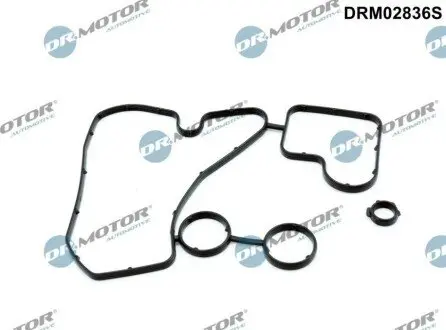 Прокладка радіатора масляного Audi Q5/Q7/VW Touareg 3.0 TDI 07-18 (к-кт) DR.MOTOR DRM02836S