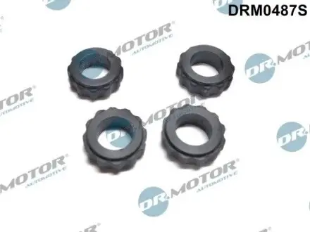 Ремкомплект форсунки 4 елементи DR.MOTOR DRM0487S Купити в Україні