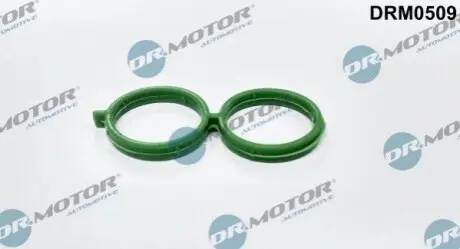 Прокладка DR.MOTOR DRM0509