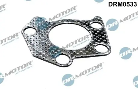 Прокладка компрессора FORD C-MAX 2,0TDCI 09 DR.MOTOR DRM0533