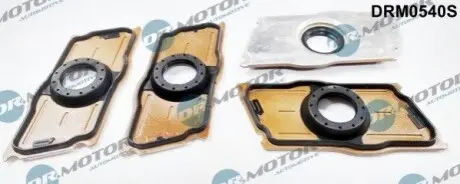 Сальник форсунки VW Passat 2.0 TDI 05-12 (к-кт 4 шт з кришками) - Сальник форсунки VW Passat 2.0 TDI 05-12 (комплект 4 шт з крышками) DR.MOTOR DRM0540S Купить в Украине