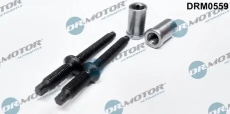 Болт кріплення форсунки Citroen Berlingo/Jumpy/Peugeot Expert/Partner 1.6 HDI 05- (к-кт 2 шт) DR.MOTOR DRM0559 Купити в Україні