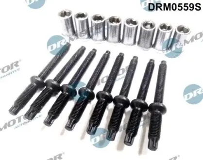 Болт кріплення форсунки Citroen Berlingo/Jumpy/Peugeot Expert/Partner 1.6 HDI 05- (к-кт 8 шт) DR.MOTOR DRM0559S Купити в Україні