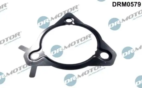 Прокладка насосу паливного Ford Connect 1.8Di/TDCI 02 DR.MOTOR DRM0579 Купити в Україні