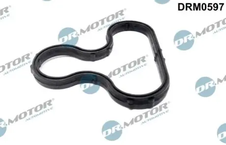 Прокладка радіатора масляного BMW 5 (E60/E61)/6 (E63/E64)/7 (E65/E66) 01-10 N62 DR.MOTOR DRM0597 Купити в Україні