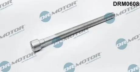 Болт кріплення форсунки VW Caddy 2.0TDI 04-15 DR.MOTOR DRM0608 Купити в Україні