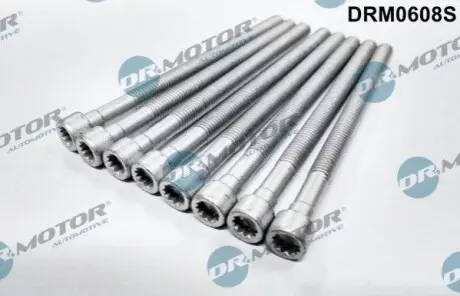 Болт кріплення форсунки VW Caddy 2.0TDI 04-15 (к-кт 8шт) DR.MOTOR DRM0608S Купити в Україні