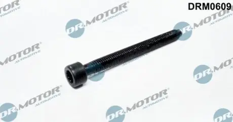 Фото Болт с головкой системы TORX из черного металла DR.MOTOR (DRM0609) изображение 1