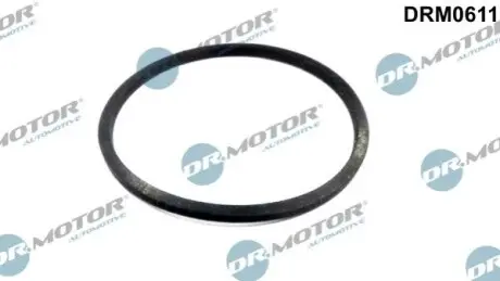 Прокладка радіатора масляного VW LT 2.4 TD 92-96 DR.MOTOR DRM0611 Купити в Україні