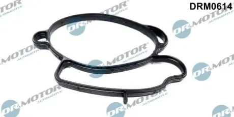 Прокладка заслонки дросельної Ford Transit 2.0 94-00 DR.MOTOR DRM0614 Купити в Україні