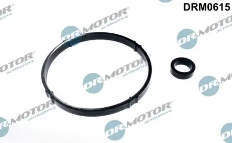 Прокладка радіатора оливного Citroen Berlingo/Peugeot Partner 96-11 (к-кт) DR.MOTOR DRM0615 Купити в Україні